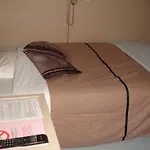 玛莫特酒店 酒店 尼奥尔